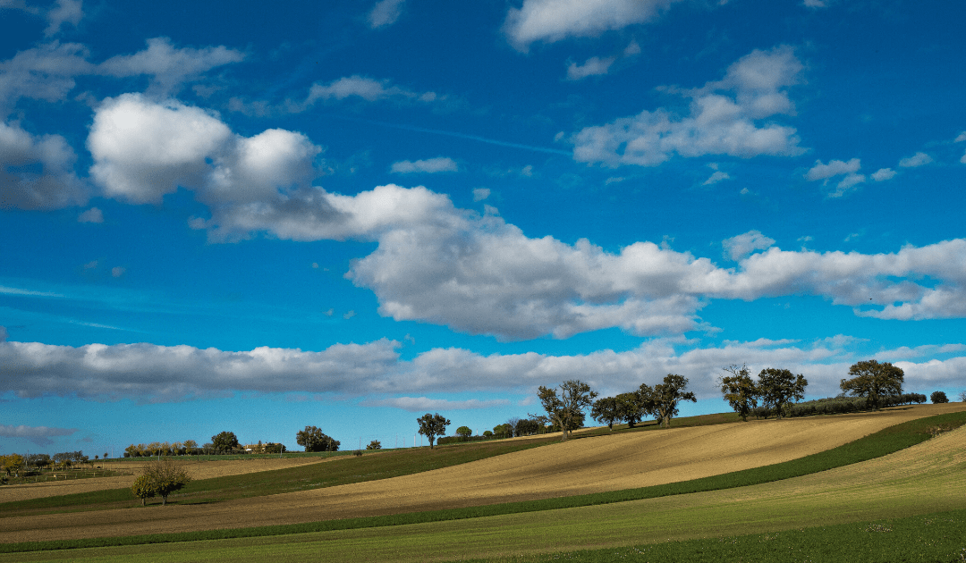 le marche region italy